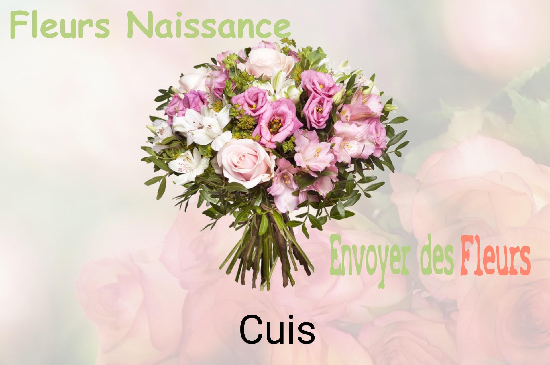 Bouquet de fleurs de naissance livré à Cuis